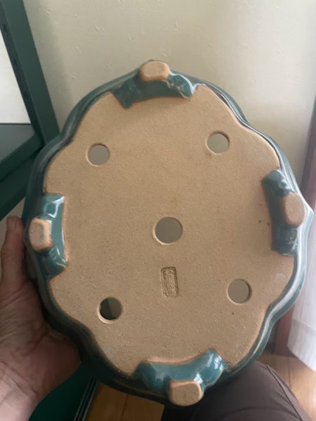 画像3: No.KA4435 黎鳳 (3)