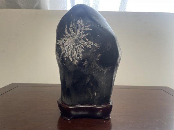 画像1: No.SA6828  菊花石 (1)