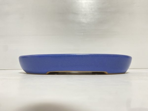 画像1: No.DA5401 黎鳳 (1)