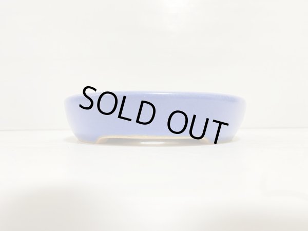 画像2: No.DA5401 黎鳳 (2)