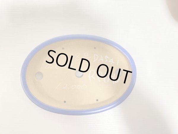 画像3: No.DA5401 黎鳳 (3)