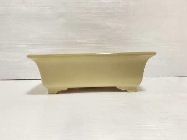 画像2: No.DA5402 黎鳳 (2)