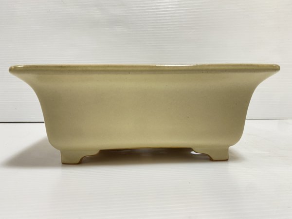 画像3: No.DA5402 黎鳳 (3)