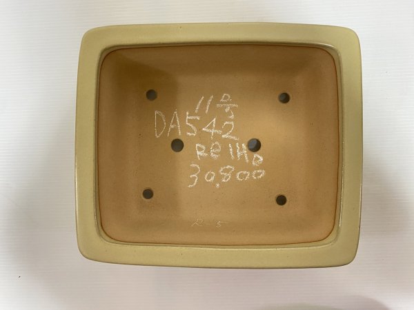 画像4: No.DA5402 黎鳳 (4)