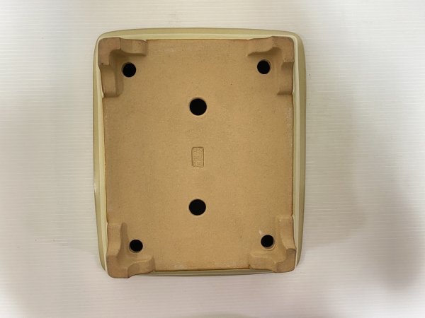 画像5: No.DA5402 黎鳳 (5)