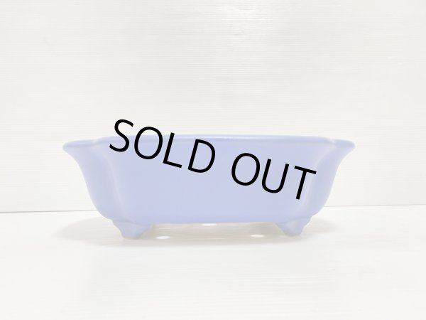 画像2: No.DA5403 黎鳳 (2)