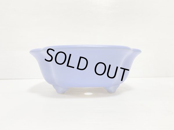 画像3: No.DA5403 黎鳳 (3)