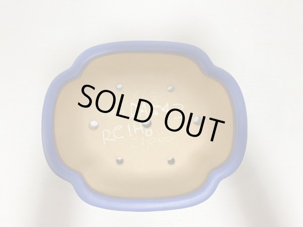 画像4: No.DA5403 黎鳳 (4)