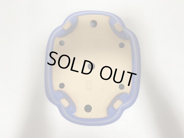 画像5: No.DA5403 黎鳳 (5)