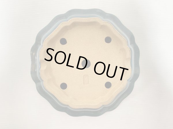 画像4: No.DA5404 黎鳳 (4)