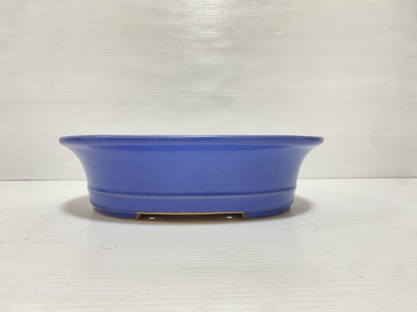 画像2: No.DA5405 黎鳳 (2)