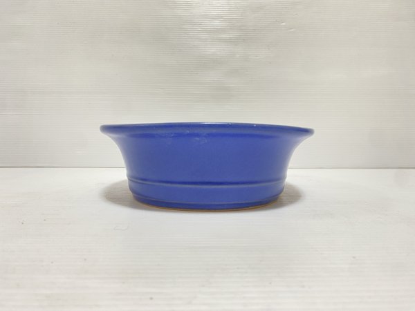 画像3: No.DA5405 黎鳳 (3)