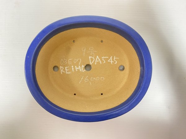 画像4: No.DA5405 黎鳳 (4)