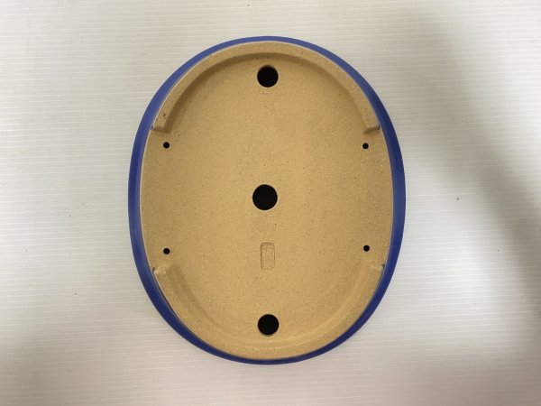 画像5: No.DA5405 黎鳳 (5)