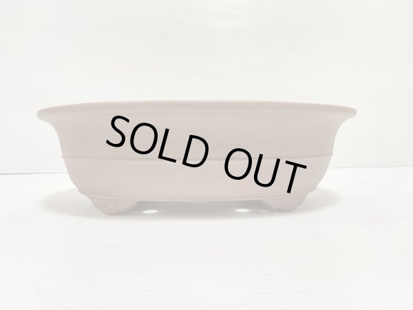 画像2: No.DA5406 黎鳳 (2)