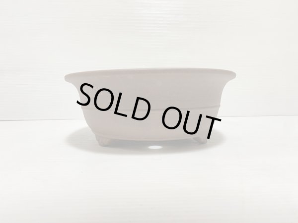 画像3: No.DA5406 黎鳳 (3)