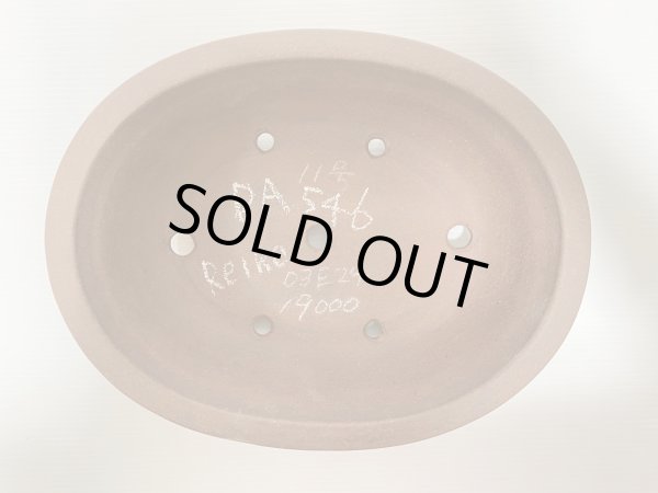 画像4: No.DA5406 黎鳳 (4)