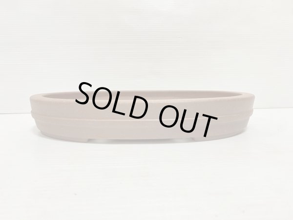 画像2: No.DA5412 黎鳳 (2)