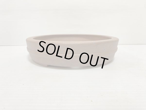 画像3: No.DA5412 黎鳳 (3)