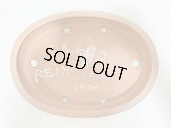 画像4: No.DA5412 黎鳳 (4)