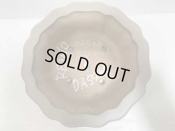 画像3: No.DA5414 黎鳳 (3)