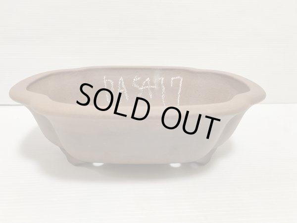 画像1: No.DA5417 黎鳳 (1)