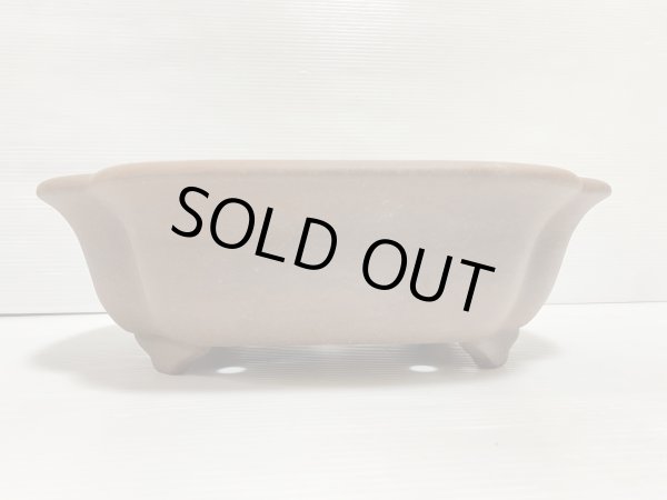 画像2: No.DA5417 黎鳳 (2)