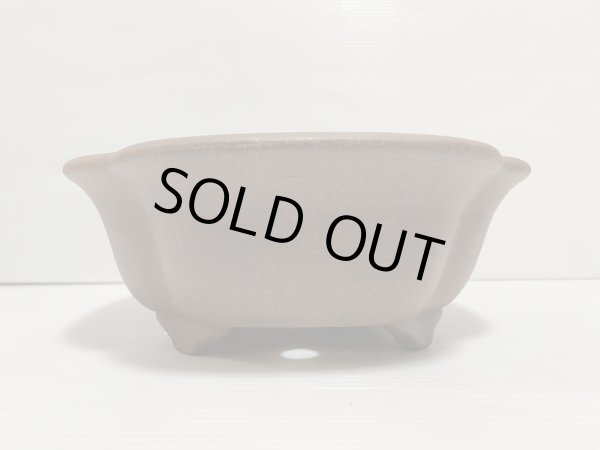 画像3: No.DA5417 黎鳳 (3)