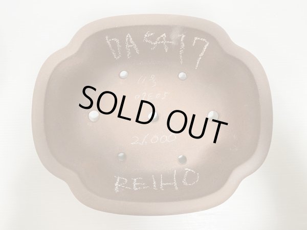 画像4: No.DA5417 黎鳳 (4)