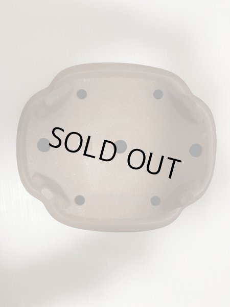 画像5: No.DA5417 黎鳳 (5)