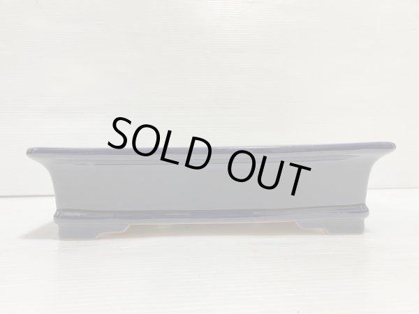 画像2: No.DA5419 黎鳳 (2)