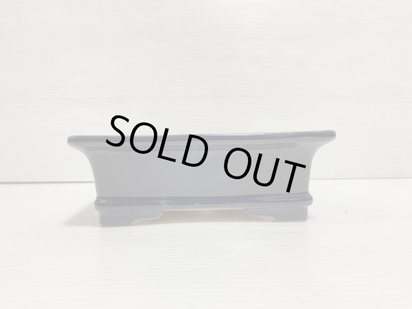 画像3: No.DA5419 黎鳳 (3)