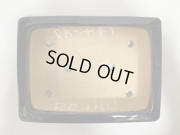 画像4: No.DA5419 黎鳳 (4)