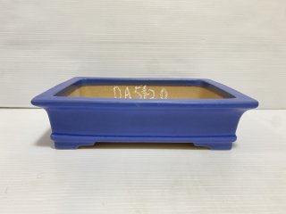 盆栽鉢販売店 ｜ 盆栽鉢専門の盆栽ネットワーク・ジャパン (Page 2)