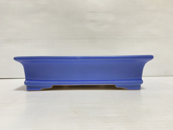 画像2: No.DA5420 黎鳳 (2)