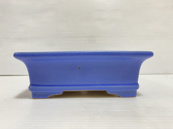 画像3: No.DA5420 黎鳳 (3)