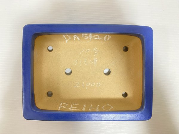 画像4: No.DA5420 黎鳳 (4)