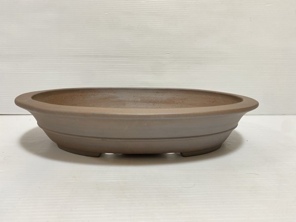 画像1: No.DA5422 黎鳳 (1)
