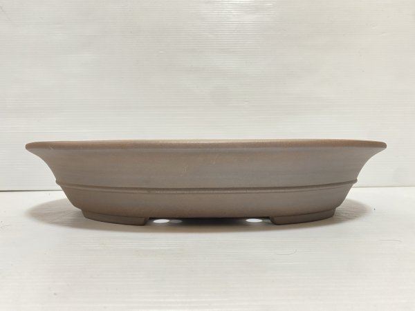 画像1: No.DA5424 黎鳳 (1)