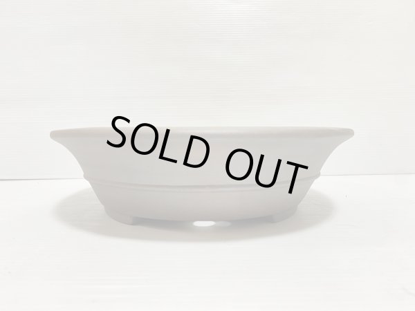 画像3: No.DA5422 黎鳳 (3)