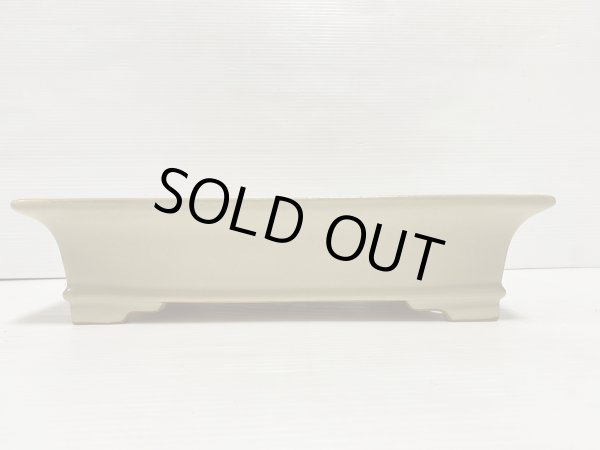 画像2: No.DA5421 黎鳳 (2)