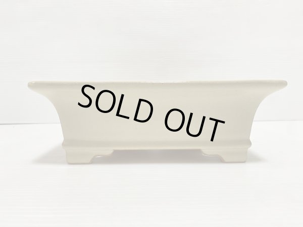 画像3: No.DA5421 黎鳳 (3)