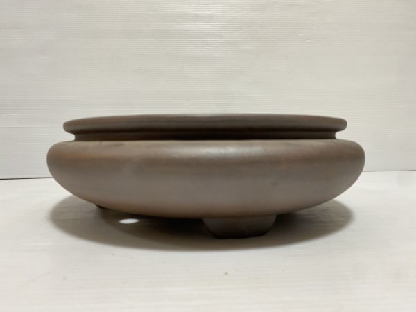 画像3: No.DA5426 黎鳳 (3)