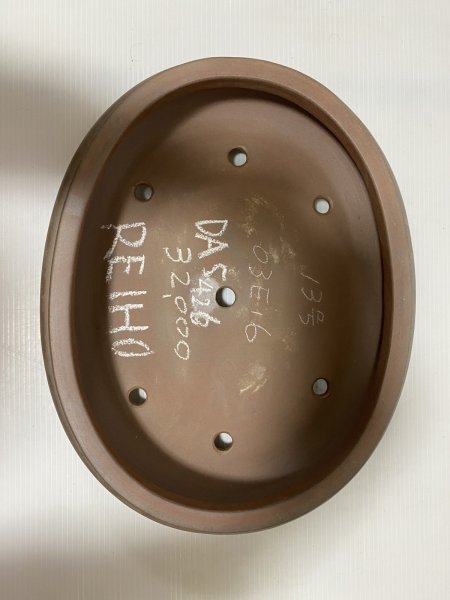 画像4: No.DA5426 黎鳳 (4)