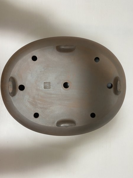 画像5: No.DA5426 黎鳳 (5)