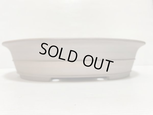 画像2: No.DA5427 黎鳳 (2)