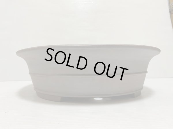 画像3: No.DA5427 黎鳳 (3)