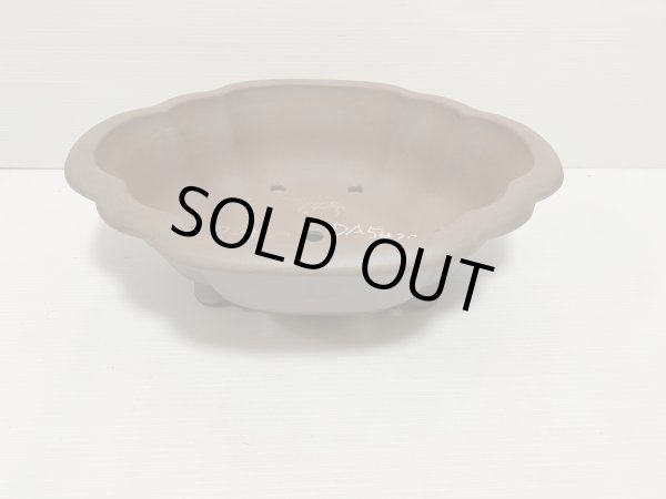 画像2: No.DA5428 黎鳳 (2)