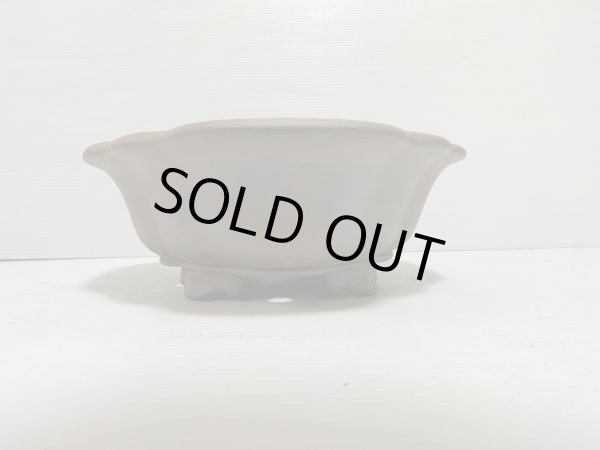 画像3: No.DA5428 黎鳳 (3)