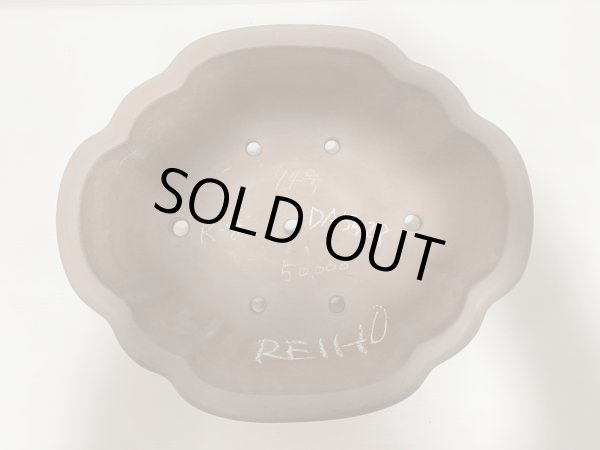 画像4: No.DA5428 黎鳳 (4)